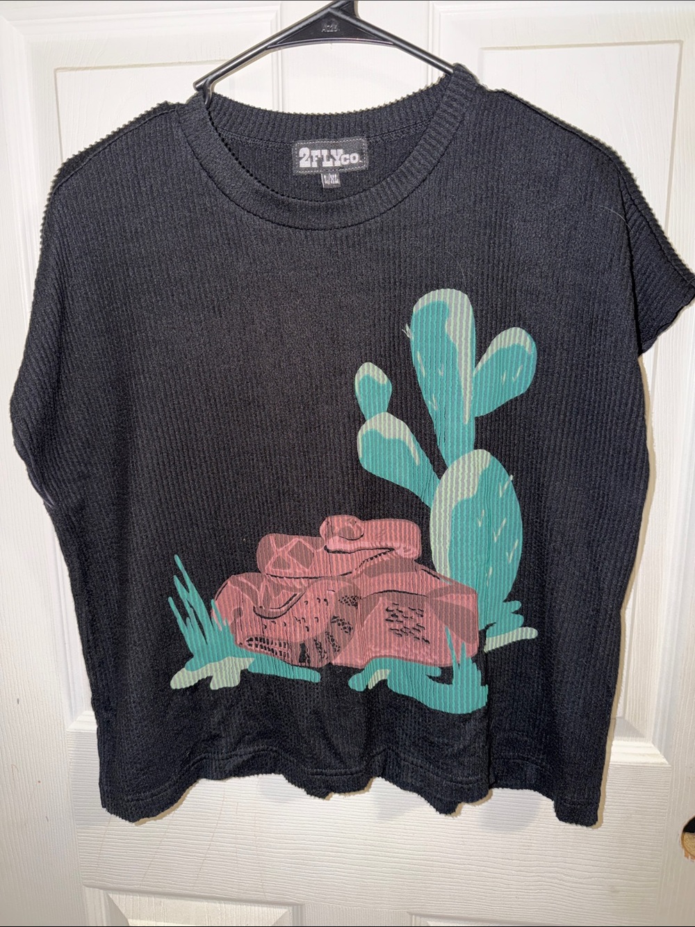 2FlyCo Black Cropped Graphic Tee with Teal Cactus and Pink Rock Print